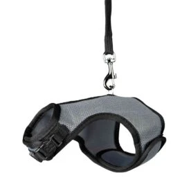 Trixie Harnais Soft Avec Laisse Pour Rongeur 14-19 Cm 9 Trixie Harnais Soft Avec Laisse Pour Rongeur 14-19 Cm -Fournitures Pour Animaux trixie harnais soft avec laisse pour rongeur lapin nains