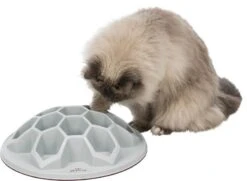 Trixie Jouet Snack Hive Pour Chat XXL 35 Cm - Destockage -Fournitures Pour Animaux trixie jouet snack hive chat xxl 35 cm