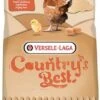 Versele Laga GOLD 4 Gallico Pellet 5 Kg -Fournitures Pour Animaux versele laga gold 4 gallico pellet 5 kg2