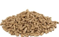 Versele Laga GOLD 4 Gallico Pellet 5 Kg -Fournitures Pour Animaux versele laga gold 4 gallico pellet 5 kg3